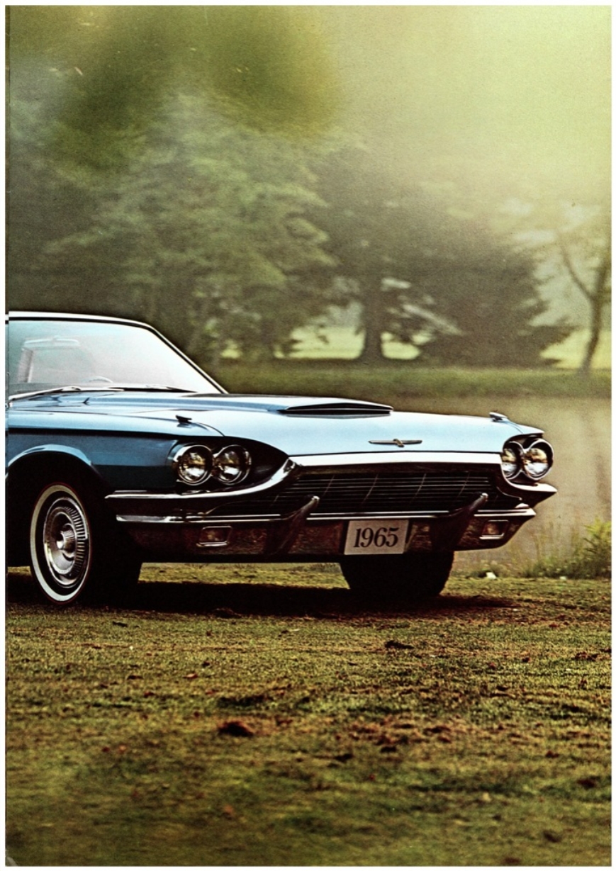 n_1965 Ford Thunderbird-09.jpg